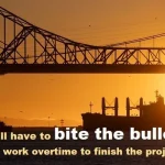 contoh kalimat bite the bullet: We'll have to bite the bullet and work overtime to finish the project.