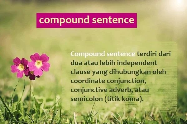 Compound sentence (kalimat majemuk bahasa Inggris) terdiri dari dua atau lebih independent clause yang dihubungkan oleh coordinate conjunction, conjunctive adverb, atau semicolon (titik koma).