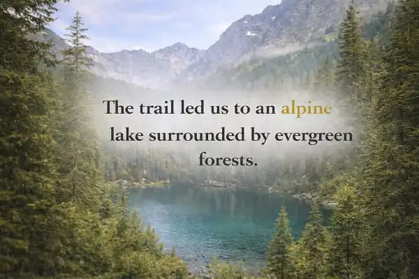 contoh kalimat Bahasa Inggris classifying adjective: The trail led us to an alpine lake surrounded by evergreen forests.