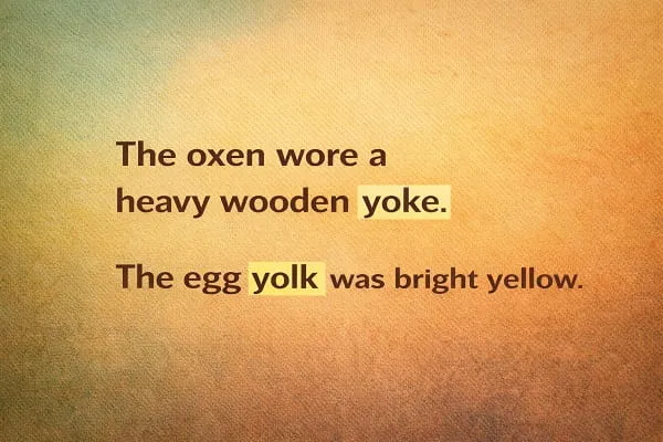 contoh kalimat Bahasa Inggris yoke dan yolk (noun): The oxen wore a heavy wooden yoke. The egg yolk was bright yellow.