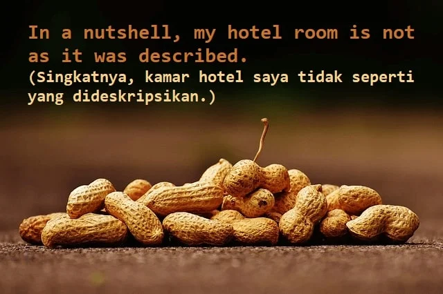 contoh kalimat in a nutshell dan artinya: In a nutshell, my hotel room is not as it was described. (Singkatnya, kamar hotel saya tidak seperti yang dideskripsikan.)