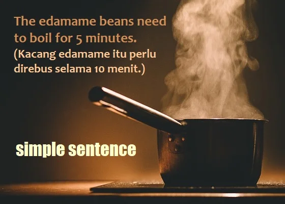 contoh kalimat simple sentence dan artinya: The edamame beans need to boil for 5 minutes. (Kacang edamame itu perlu direbus selama 10 menit.)