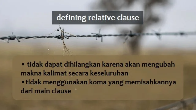 Defining relative clause tidak dapat dihilangkan karena akan mengubah makna kalimat secara keseluruhan, dan tidak menggunakan koma yang memisahkannya dari main clause.
