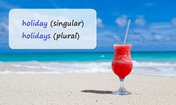 holiday (singular noun) dan holidays (plural noun)
