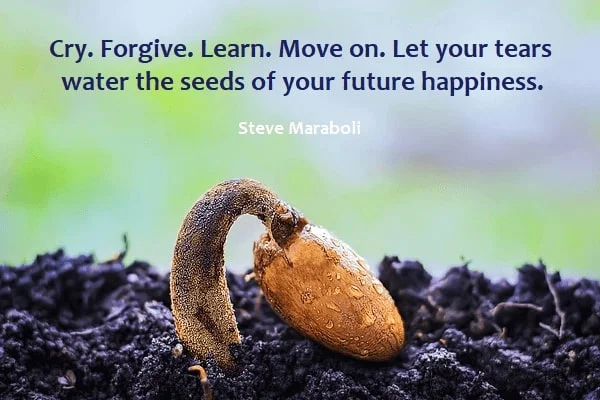 Kata Mutiara Bahasa Inggris tentang Air Mata (Tears): Cry. Forgive. Learn. Move on. Let your tears water the seeds of your future happiness. Steve Maraboli