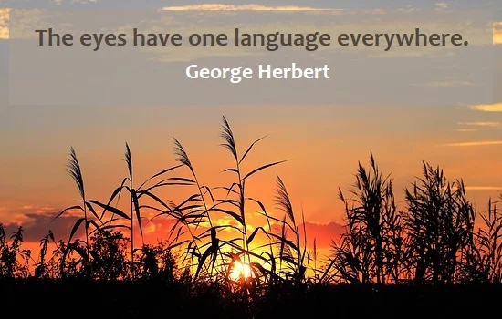 kata mutiara bahasa Inggris tentang bahasa (language) - 2: The eyes have one language everywhere. George Herbert