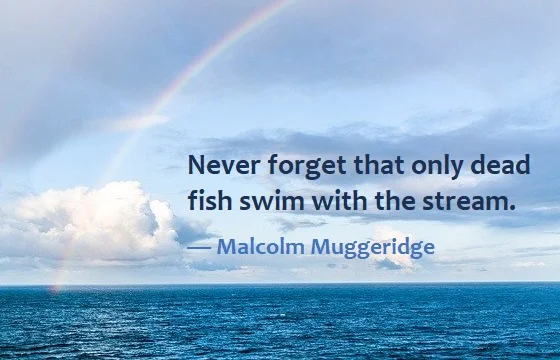 kata mutiara bahasa Inggris tentang berenang (swimming) - 3: Never forget that only dead fish swim with the stream. Malcolm Muggeridge