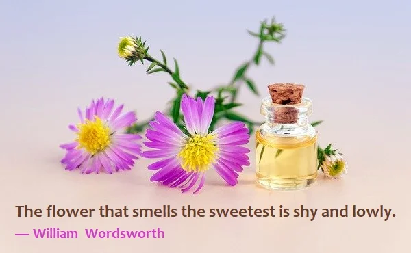 kata mutiara bahasa Inggris tentang berkebun (gardening) - 2: The flower that smells the sweetest is shy and lowly. William Wordsworth