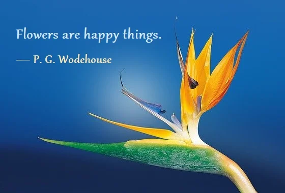 Kata Mutiara Bahasa Inggris tentang Berkebun (Gardening) - 3: Flowers are happy things. P. G. Wodehouse
