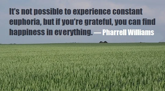 kata mutiara bahasa Inggris tentang bersyukur (gratitude) - 3: It's not possible to experience constant euphoria, but if you're grateful, you can find happiness in everything. Pharrell Williams
