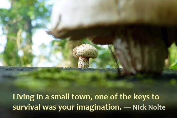 Kata Mutiara Bahasa Inggris tentang Bertahan Hidup (Survival) - 2: Living in a small town, one of the keys to survival was your imagination. Nick Nolte