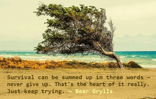 Kata Mutiara Bahasa Inggris tentang Bertahan Hidup (Survival): Survival can be summed up in three words - never give up. That's the heart of it really. Just keep trying. Bear Grylls