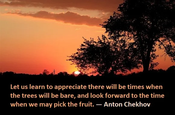 Kata Mutiara Bahasa Inggris tentang Buah (Fruit) - 2: Let us learn to appreciate there will be times when the trees will be bare, and look forward to the time when we may pick the fruit. Anton Chekhov