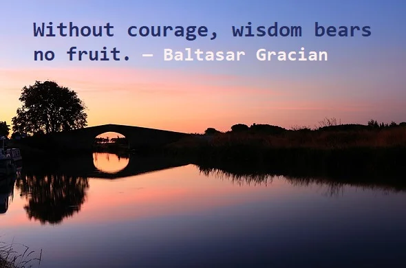 kata mutiara bahasa Inggris tentang buah (fruit) - 3: Without courage, wisdom bears no fruit. Baltasar Gracian