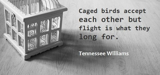 Kata Mutiara Bahasa Inggris tentang Burung (Bird): Caged birds accept each other but flight is what they long for. Tennessee Williams