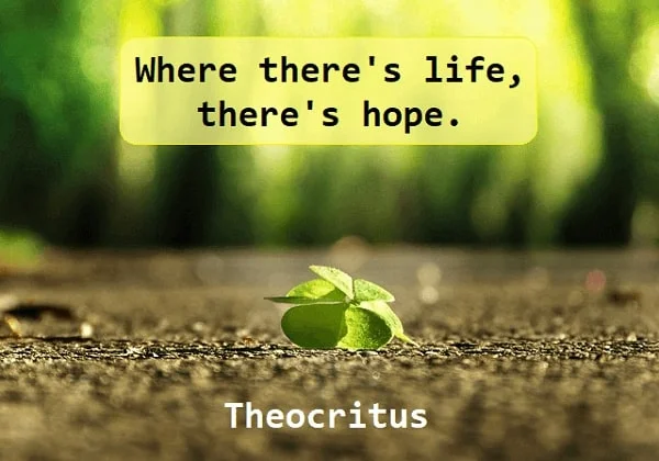 Kata Mutiara Bahasa Inggris tentang Harapan (Hope): Where there's life, there's hope. Theocritus