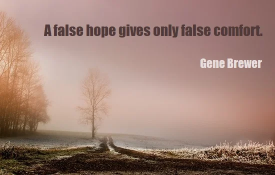 kata mutiara bahasa Inggris tentang harapan palsu (false hope) - 3: A false hope gives only false comfort. Gene Brewer