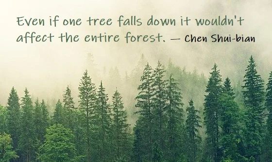 kata mutiara bahasa Inggris tentang hutan (forest) - 2: Even if one tree falls down it wouldn't affect the entire forest. Chen Shui-bian