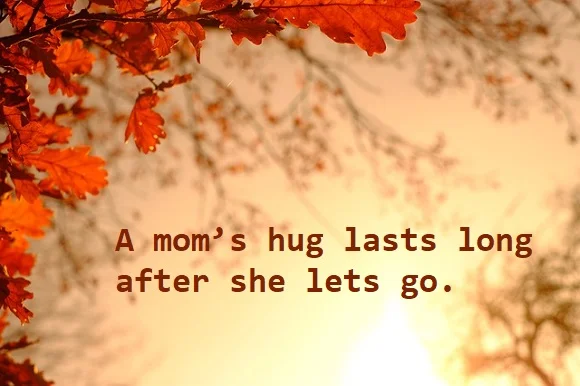 kata mutiara bahasa Inggris tentang ibu (mother) - 3: A mom’s hug lasts long after she lets go.