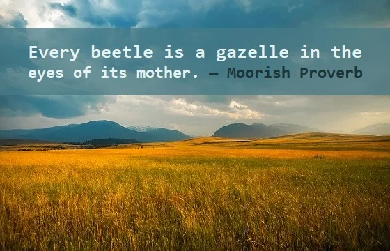 kata mutiara bahasa Inggris tentang ibu (mother) - 4: Every beetle is a gazelle in the eyes of its mother. Moorish Proverb