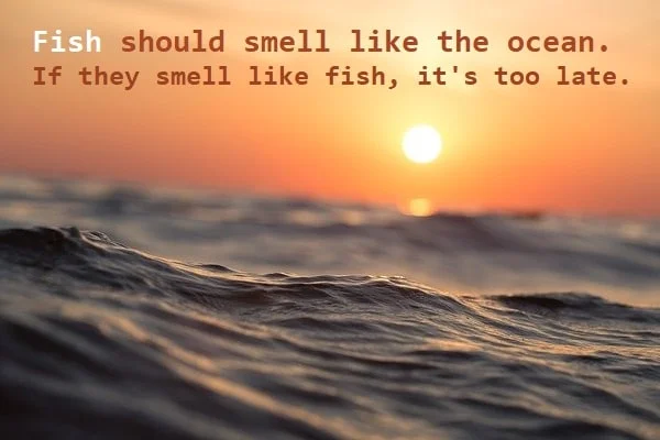 Kata Mutiara Bahasa Inggris tentang Ikan (Fish): Fish should smell like the ocean. If they smell like fish, it's too late.