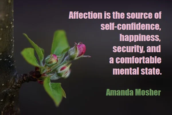 kata mutiara bahasa Inggris tentang kasih sayang (affection) - 3: Affection is the source of self-confidence, happiness, security, and a comfortable mental state. Amanda Mosher