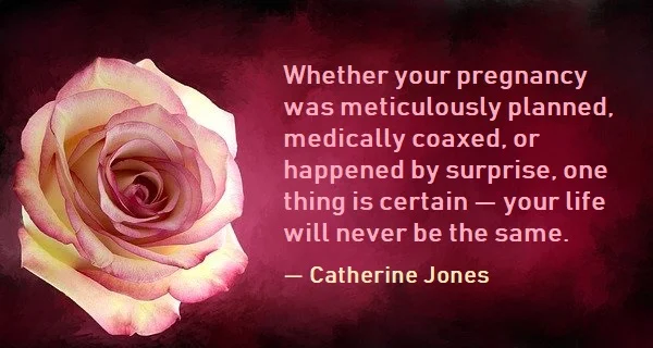 Kata Mutiara Bahasa Inggris tentang Kehamilan (Pregnancy) - 3: Whether your pregnancy was meticulously planned, medically coaxed, or happened by surprise, one thing is certain -- your life will never be the same. Catherine Jones