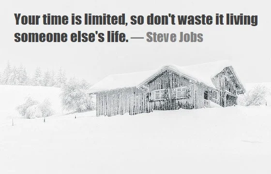 kata mutiara bahasa Inggris tentang kehidupan (life) - 3: Your time is limited, so don't waste it living someone else's life. Steve Jobs