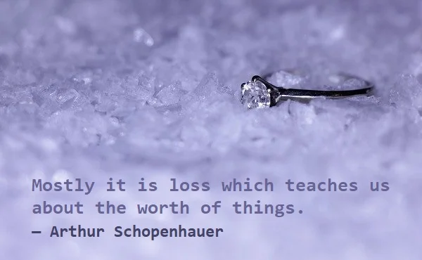kata mutiara bahasa Inggris tentang kehilangan/kerugian (loss) - 2: Mostly it is loss which teaches us about the worth of things. Arthur Schopenhauer