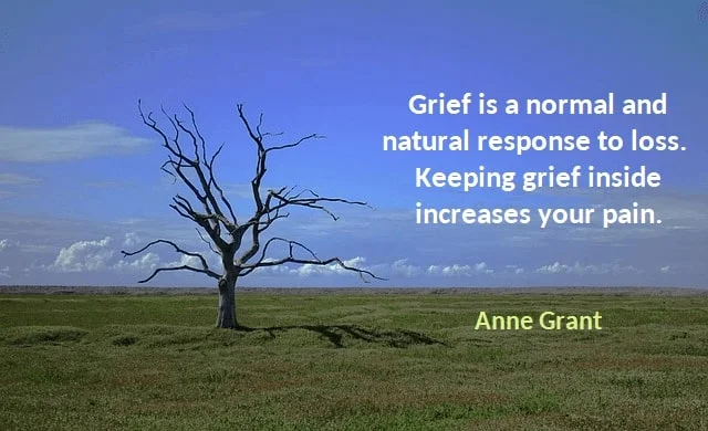 Kata Mutiara Bahasa Inggris tentang Kehilangan/Kerugian (Loss): Grief is a normal and natural response to loss. Keeping grief inside increases your pain. Anne Grant