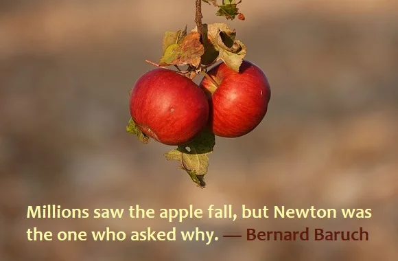 kata mutiara bahasa Inggris tentang keingintahuan (curiosity) - 2: Millions saw the apple fall, but Newton was the one who asked why. Bernard Baruch