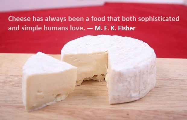 Kata Mutiara Bahasa Inggris tentang Keju (Cheese) - 2: Cheese has always been a food that both sophisticated and simple humans love. M. F. K. Fisher
