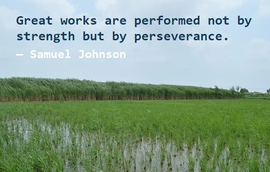 kata mutiara bahasa Inggris tentang ketekunan/kegigihan (perseverance) - 3: Great works are performed not by strength but by perseverance. Samuel Johnson