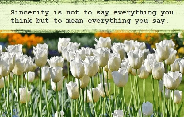 Kata Mutiara Bahasa Inggris tentang Ketulusan (Sincerity): Sincerity is not to say everything you think but to mean everything you say. Unknown
