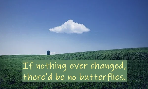 kata mutiara bahasa Inggris tentang kupu-kupu (butterfly) - 2: If nothing ever changed, there'd be no butterflies. Unknown