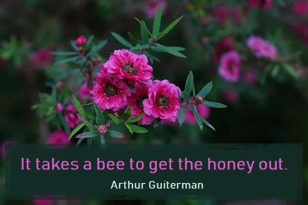 Kata Mutiara Bahasa Inggris tentang Madu (Honey) - 2: It takes a bee to get the honey out. Arthur Guiterman