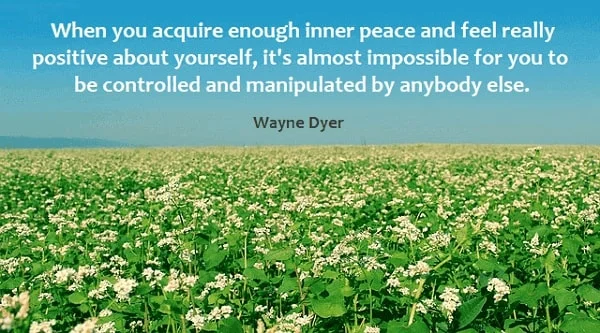 Kata Mutiara Bahasa Inggris tentang Manipulasi (Manipulation): When you acquire enough inner peace and feel really positive about yourself, it's almost impossible for you to be controlled and manipulated by anybody else. Wayne Dyer