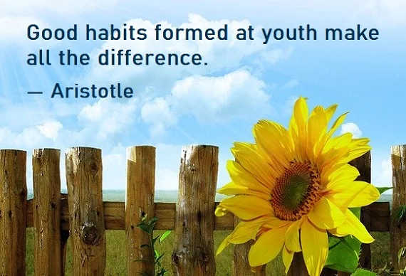 kata mutiara bahasa Inggris tentang masa remaja (adolescence) - 3: Good habits formed at youth make all the difference. Aristotle