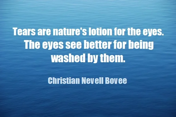 kata mutiara bahasa Inggris tentang mata (eyes) - 3: Tears are nature's lotion for the eyes. The eyes see better for being washed by them. Christian Nevell Bovee