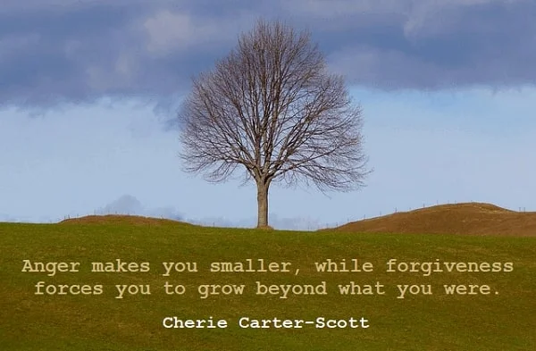 kata mutiara bahasa Inggris tentang memaafkan - 2: Anger makes you smaller, while forgiveness forces you to grow beyond what you were. Cherie Carter-Scott