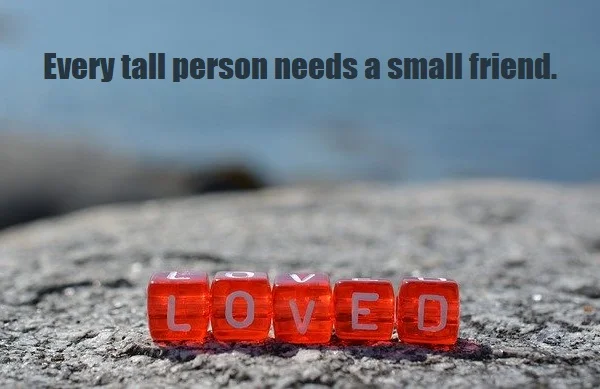 kata mutiara bahasa Inggris tentang orang pendek (short people) - 3: Every tall person needs a small friend.