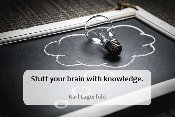 Kata Mutiara Bahasa Inggris tentang Otak (Brain): Stuff your brain with knowledge. Karl Lagerfeld
