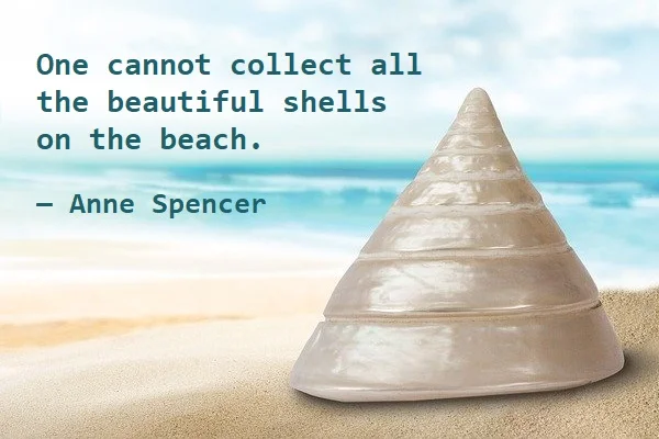 kata mutiara bahasa Inggris tentang pantai (beach) - 2: One cannot collect all the beautiful shells on the beach. Anne Spencer