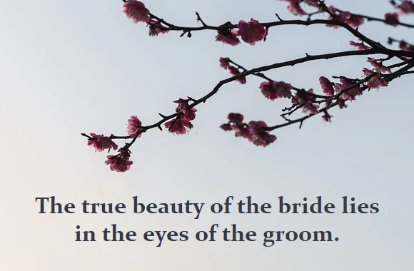 kata mutiara bahasa Inggris tentang pengantin wanita (bride) - 2: The true beauty of the bride lies in the eyes of the groom.