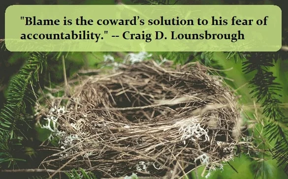 Kata Mutiara Bahasa Inggris tentang Pengecut (Coward): Blame is the coward’s solution to his fear of accountability. Craig D. Lounsbrough