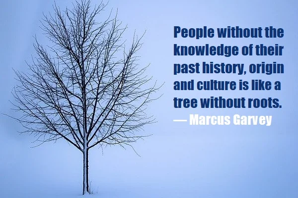 kata mutiara bahasa Inggris tentang pengetahuan (knowledge) - 3: People without the knowledge of their past history, origin and culture is like a tree without roots. Marcus Garvey