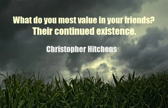 kata mutiara bahasa Inggris tentang persahabatan (friendship) - 5: What do you most value in your friends? Their continued existence. Christopher Hitchens