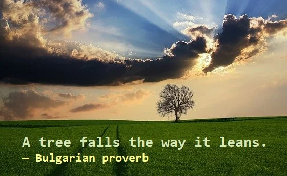 Kata Mutiara Bahasa Inggris tentang Pohon (Tree) - 2: A tree falls the way it leans. Bulgarian proverb