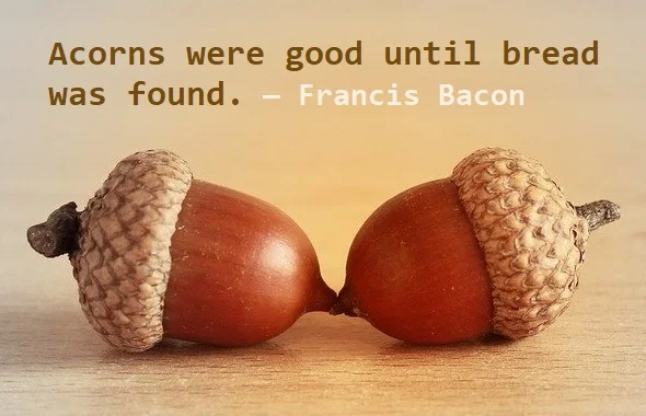kata mutiara bahasa Inggris tentang roti (bread) - 2: Acorns were good until bread was found. Francis Bacon