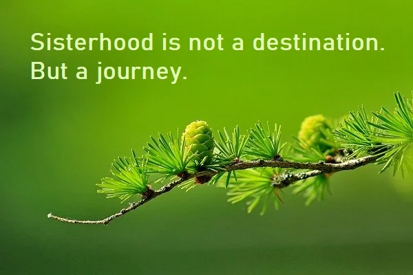 kata mutiara bahasa Inggris tentang saudara perempuan (sister) - 5: Sisterhood is not a destination. But a journey.